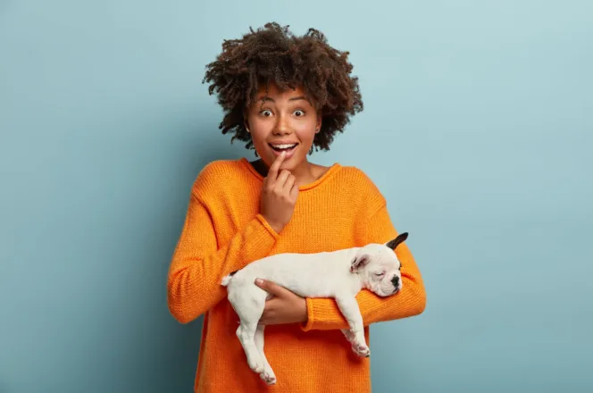 Woman in an orange sweater holding a white French bulldog puppy in a studio