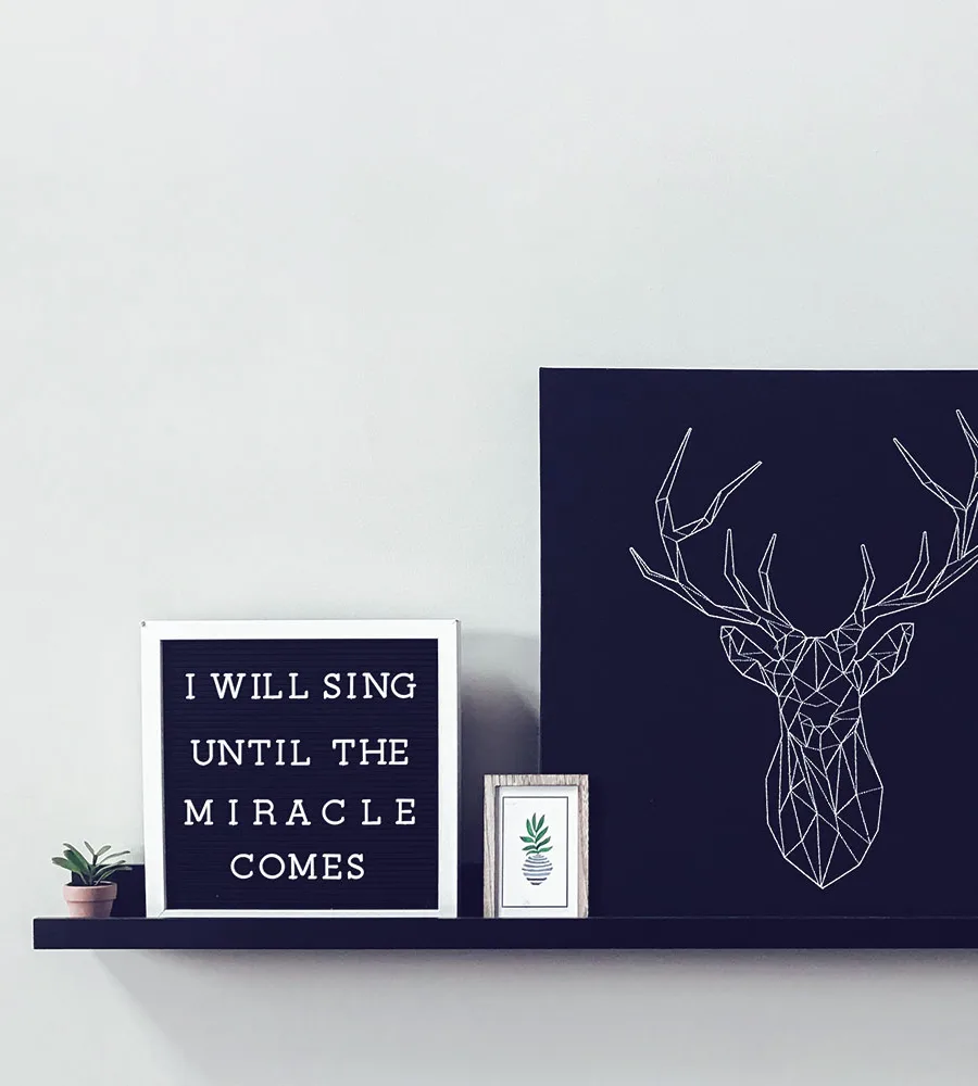 Packaging product shot